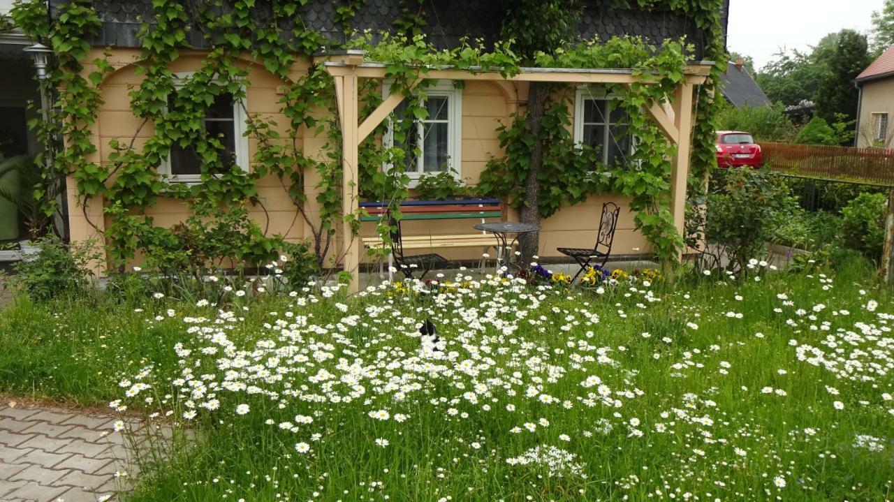 Privatzimmer Lehmann Kottmar エクステリア 写真